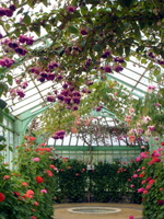 IMG2016-6-916.30.43 (2)