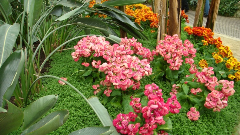 IMG2016-6-916.30.43 (8).jpg