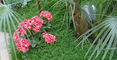 IMG2016-6-916.30.44 (4)