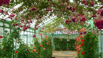 IMG2016-6-916.30.44 (7)