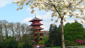 IMG2016-6-916.30.44 (8)