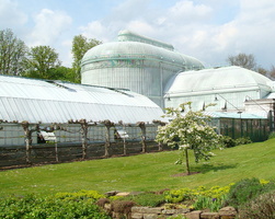 IMG2016-6-916.30.44 (9)