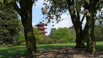 IMG2016-6-916.30.44 (11)