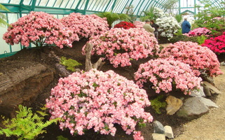 IMG2016-6-916.30.45 (15)