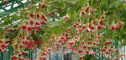 IMG2016-6-916.30.45 (17)