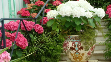 IMG2016-6-916.30.45 (18)