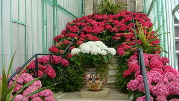 IMG2016-6-916.30.45 (19)