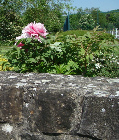 IMG2016-6-518.8.27 (22).jpg