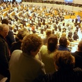IMG2016-6-911.25.40 (6)