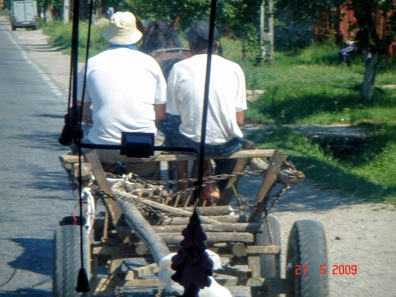 IMG2016-7-268.43.45 (4).jpg