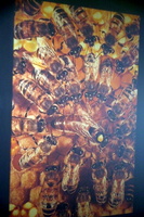 IMG2016-6-610.11.46 (2)