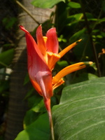 09-P1070694