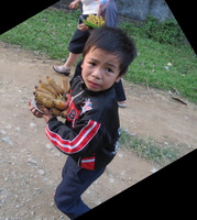 10-IMG 3488-4