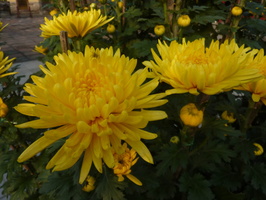 10-P1070890