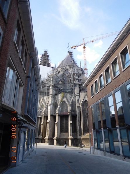 IMG2016-9-814.13.48 (12).jpg