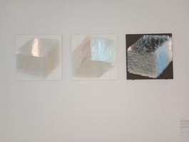 IMG 20251122 114356700 MFNR