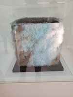 IMG 20251122 114457225 MFNR