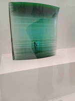 IMG 20251122 114739495 MFNR