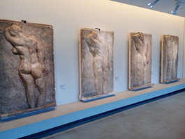 IMG 20251122 162118261 MFNR